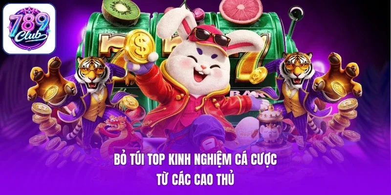 Bỏ túi top kinh nghiệm cá cược từ các cao thủ