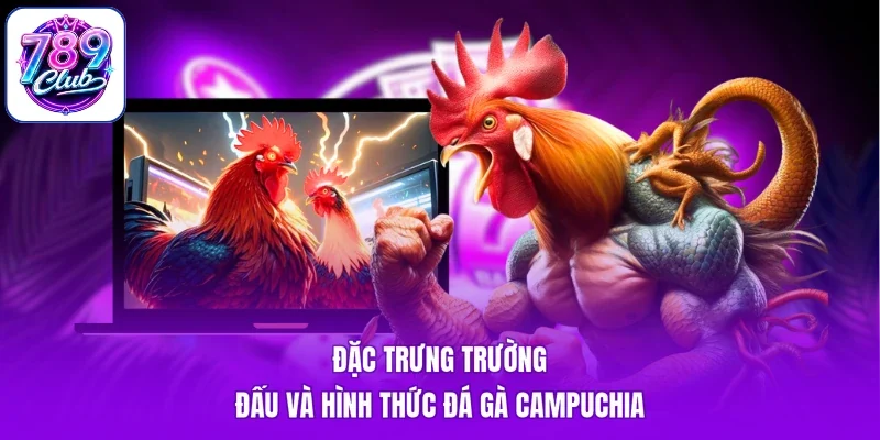 Đặc trưng trường đấu và hình thức đá gà Campuchia