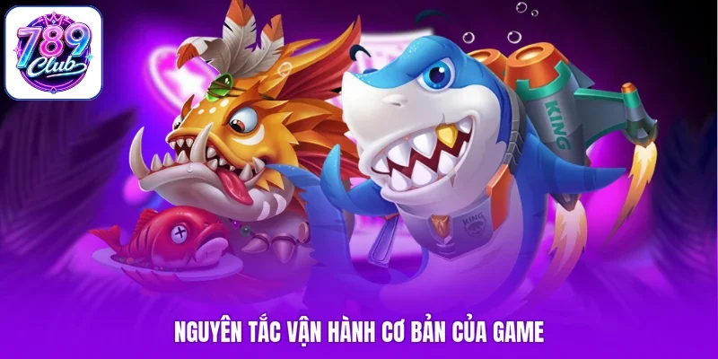 Nguyên tắc vận hành cơ bản của game