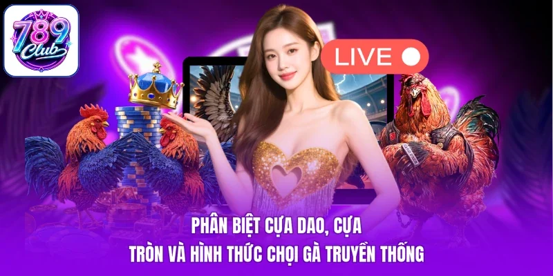 Phân biệt cựa dao, cựa tròn và hình thức chọi gà truyền thống