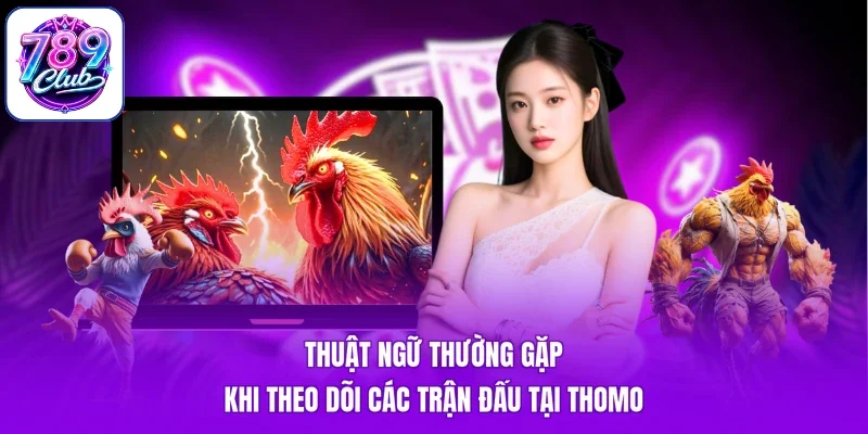 Thuật ngữ thường gặp khi theo dõi các trận đấu tại Thomo