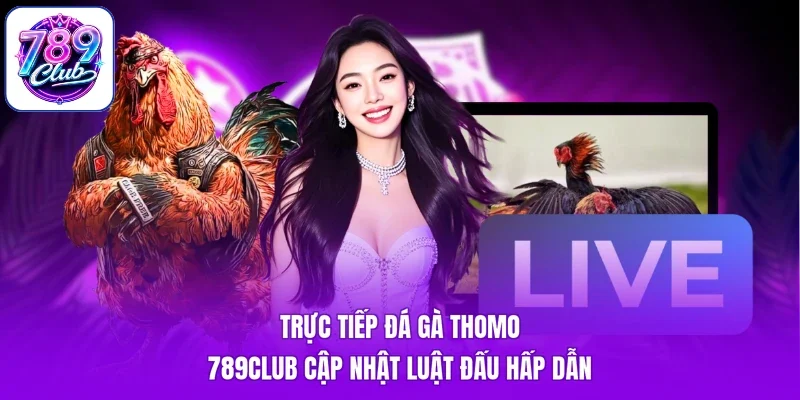 Trực Tiếp Đá Gà Thomo - 789Club Cập Nhật Luật Đấu Hấp Dẫn