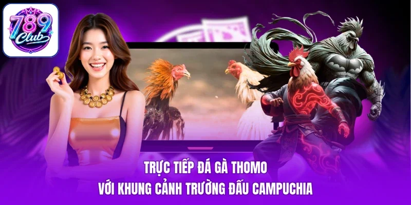 Trực tiếp đá gà Thomo với khung cảnh trường đấu Campuchia